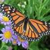 Joyce Spiller - Facebook