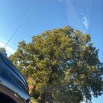 @joycestallings997 - Instagram