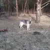 Joyce Stanfield - @joyce.stanfield7 - TikTok