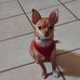 Joyce Starnes - Facebook