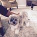 Joyce Staten - Facebook