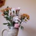 Joyce Stauffer - Facebook