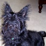 Joyce Steed - @jhsteed12 - Instagram