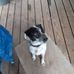 Joyce Steed - Facebook