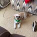 Joyce Stocks - Facebook