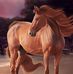 Joyce Stoneman - Facebook