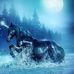 Joyce Stoneman - Facebook