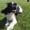 Joyce&Storm - @joyce.storm - TikTok