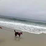 Joyce Crabtree - @joyce.stratton.7 - Instagram
