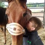 Joyce Stratton - @lsequines - Instagram