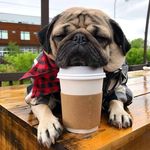 Joyce Stratton ♥️ - @joyce_stratton1122 - Instagram