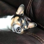 Joyce Stubblefield - @joyce.stubblefield.35 - Instagram