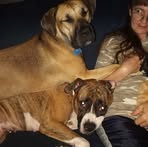 Joyce Stull Barksdale - Facebook