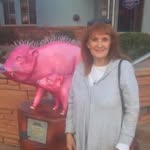 Joyce Sturgeon - @catzmeow49 - Instagram