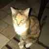 Joyceee - @joyce.suba - TikTok