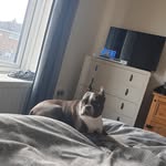 joyceswindle - @joyceswindle937 - Instagram