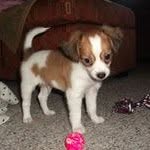 Joyce Switzer - @switzerjoyce - Instagram