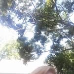 Joyce Tabor - @joycetabor5 - Instagram