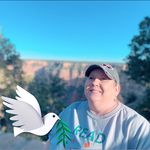 Joyce Page Tarrant - @tarrant_joyce - Instagram