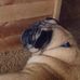Joyce Thacker - Facebook