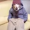 Joyce Thackeray - @joyce.thackeray40 - TikTok