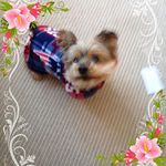 Joyce Thayer - @joyce.thayer.14 - Instagram