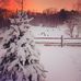 Joyce Thayer - Facebook
