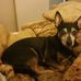 Joyce Thibodeaux - Facebook