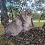 Joyce Tidwell-Smith - @joycetidwellsmith - Instagram