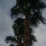 Joyce - @joycetieman - Instagram