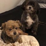 Joyce Parks Tipton - @joycetipton - Instagram