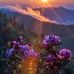 Joyce Tittle - Facebook