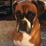 Joyce Todd - @joyce.todd.73 - Instagram