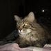 Joyce Todd - Facebook