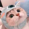 Joyce Todd - @joycetodd033 - TikTok