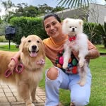 Joyce Toledo - @joycetoledogroomer - Instagram