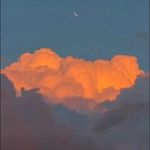 Joycelyn Toomey - @toomeyjoycelyn - Instagram