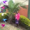 joycetowettjoyce - @joycetowettjoyce - TikTok