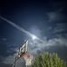 Jayce Towne - Facebook