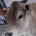 Joyce Jacobsen Treadway Grauer - Facebook