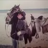 joycetrotter2 - @joycetrotter2 - TikTok