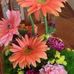 Joyce Trout - Facebook