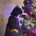 Bonita Joyce Trudeau - Facebook
