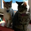 Joyce Tyler - @joyce.tyler7 - TikTok