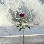Joyce Varney Gwiazda - @joycegwiazda - Instagram