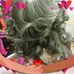 Joyce Veasley - Facebook