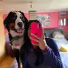 Joyce Vera - @joycevera2021 - TikTok