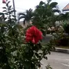 Joyce Walker - @joyce.walker759 - TikTok