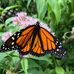 Joyce Walter - Facebook