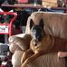 Joyce Walz - Facebook